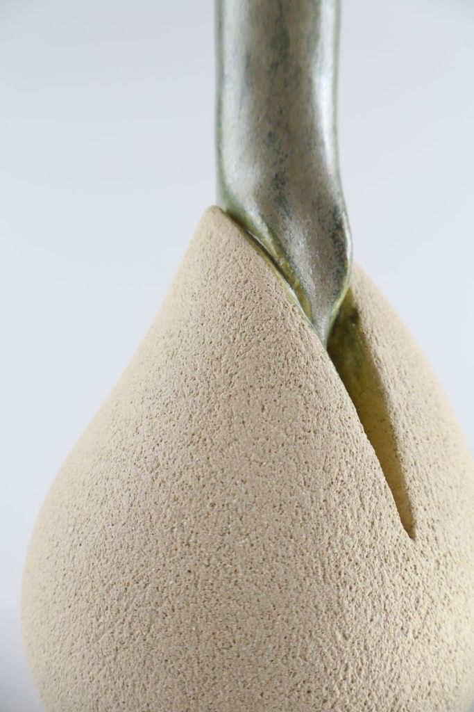 Graine vivant sculpture céramique jardin intérieur croissance métamorphose Gaëlle Monnerie