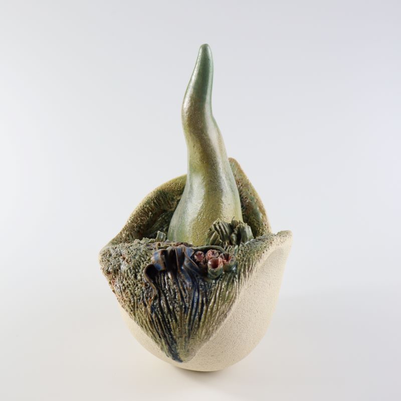 Graine vivant sculpture céramique jardin intérieur croissance métamorphose Gaëlle Monnerie