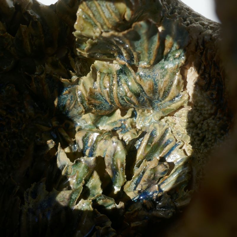 Graine vivant sculpture céramique jardin intérieur croissance métamorphose Gaëlle Monnerie