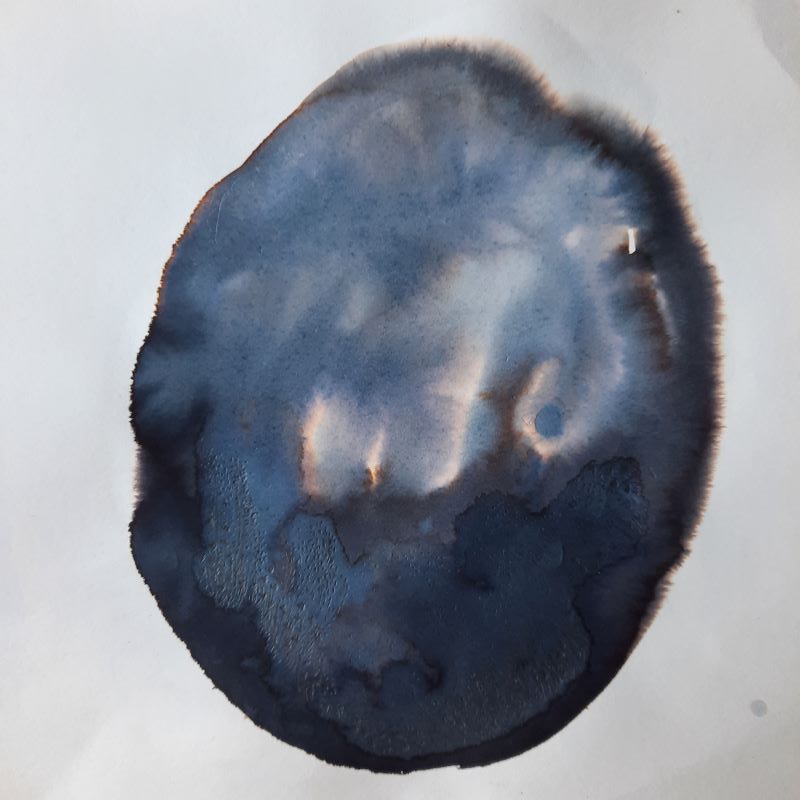 Dessin encre vivant transparence graine Gaëlle Monnerie