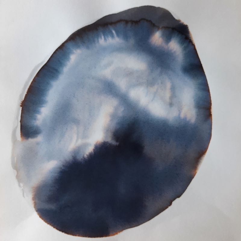 Dessin encre vivant transparence graine Gaëlle Monnerie