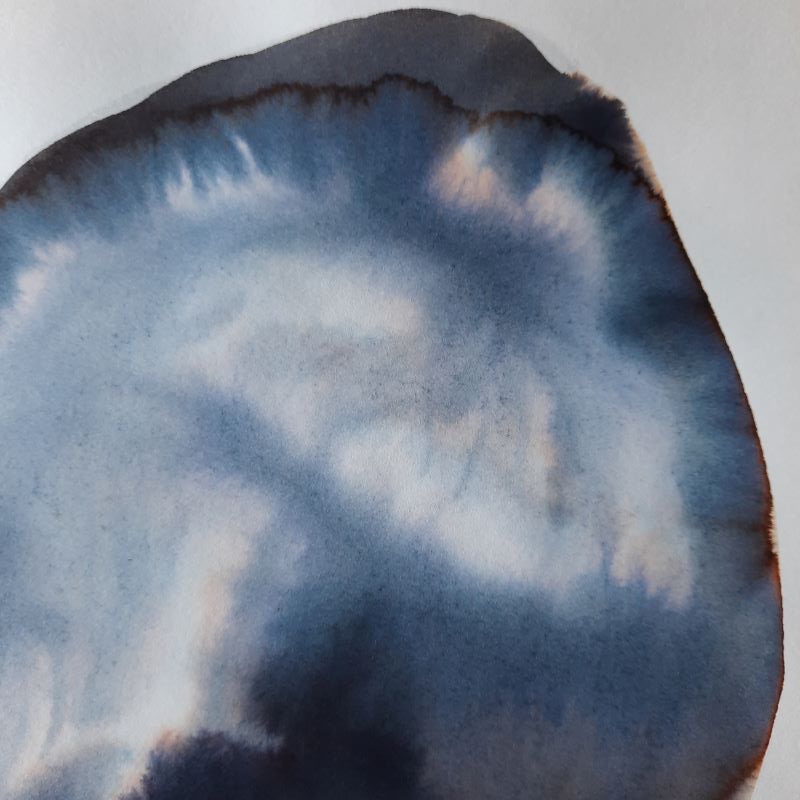 Dessin encre vivant transparence graine Gaëlle Monnerie