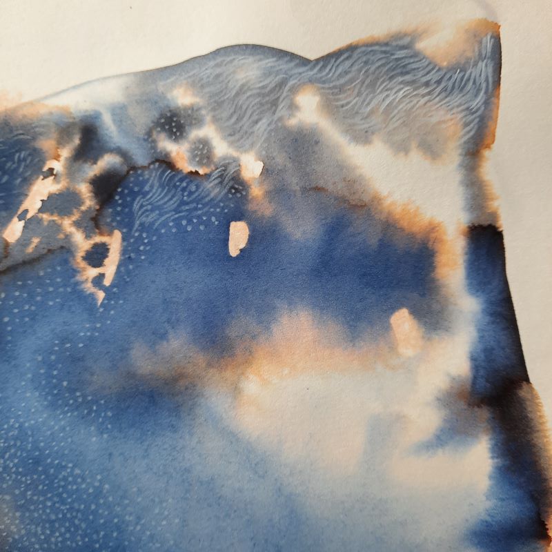 Dessin encre vivant transparence graine Gaëlle Monnerie