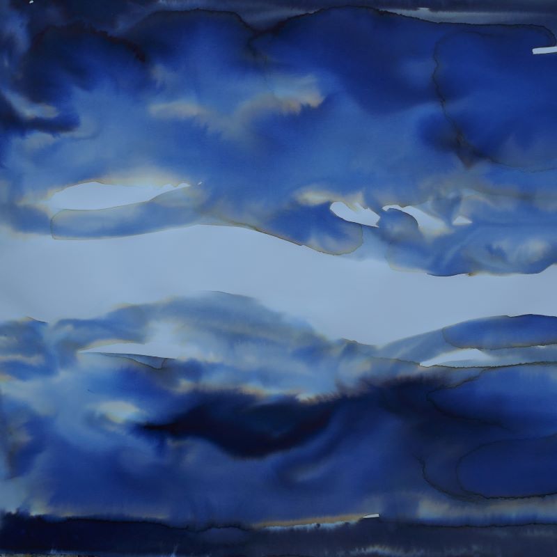 Dessin encre vivant transparence graine Gaëlle Monnerie